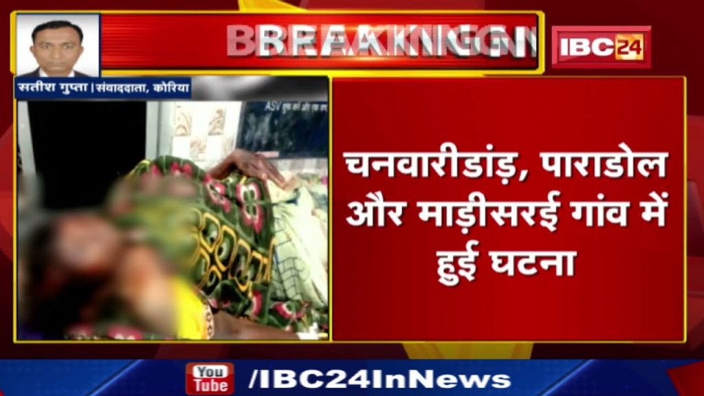 Bear Attack: Bear attacked 3 people at different places. Villagers in panic due to Jamwant's attack.