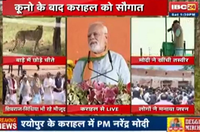 PM Modi birthday Live