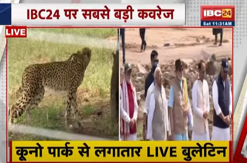 PM Modi releases cheetahs