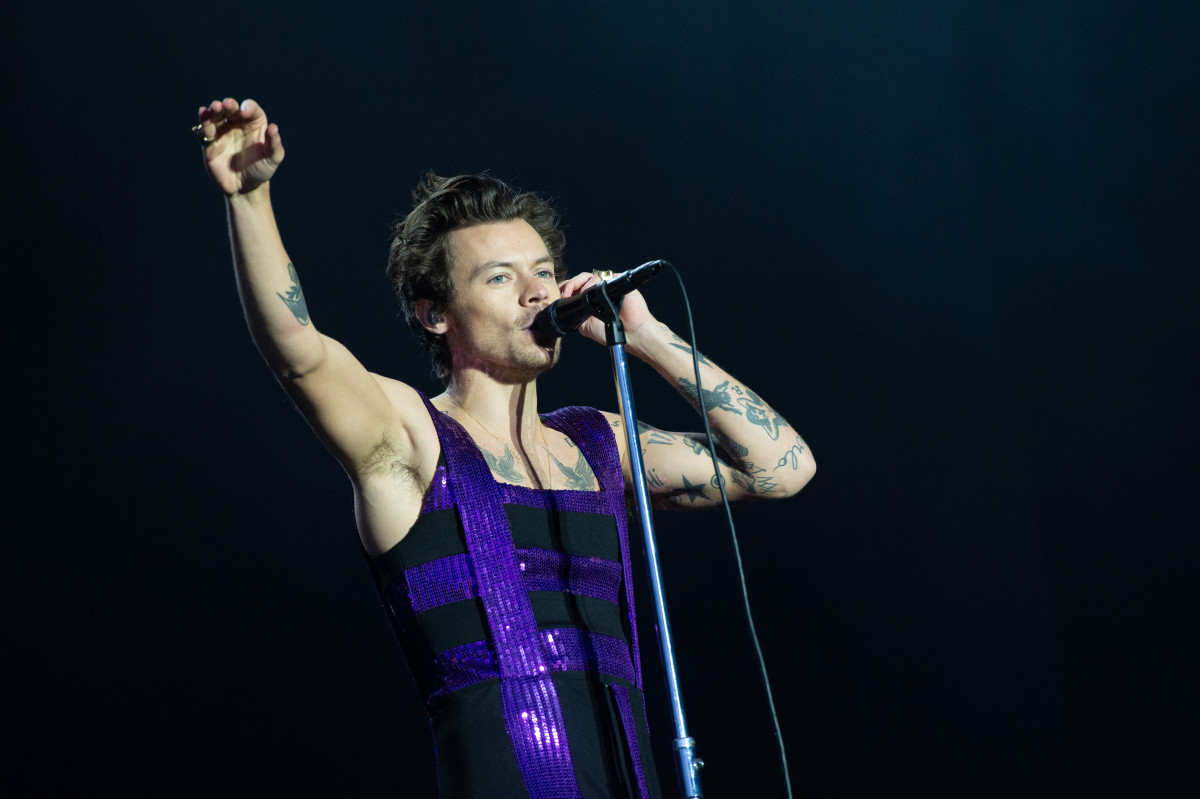 Harry Styles: Movies, biography, news, early life, net worth, images and contact details