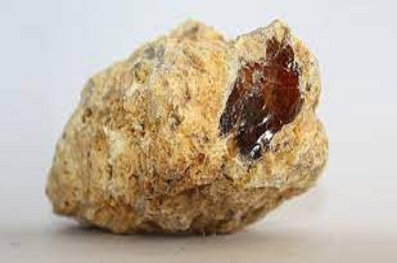 करोड़ो रुपए की उल्टी लेकर ग्राहक की तलाश कर रहे थे तस्कर, स्पेशल टास्क फोर्स ने चार लोगों को किया गिरफ्तार, जानें क्या है मामला