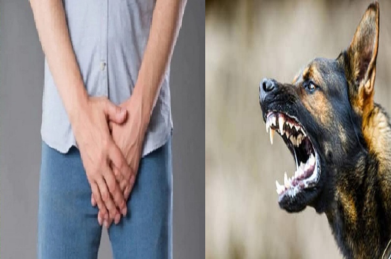 कुत्ते ने युवक के प्राइवेट पार्ट को ही नोंच खाया, नहीं कर पा रहा पेशाब, डॉक्टर ने कही ये बात