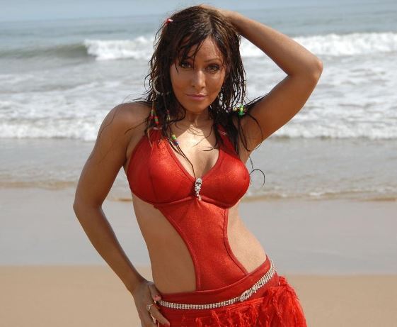 एक्ट्रेस पाखी हेगड़े भोजपुरी सिनेमा के बाद छोटे पर्दे पर वापसी करने जा रही हैं.