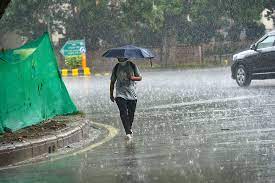 Heavy rain expected in 9 districts in the coming 3 days in Bhopal