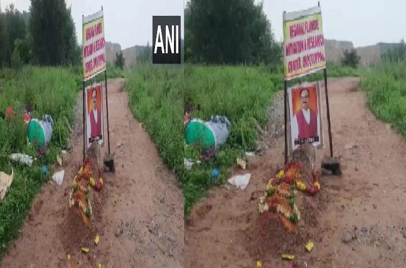 JP Nadda's grave