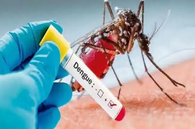 Dengue का आतंक..! चंद घंटों में ही हालत बिगाड़ रहा डेंगू, सीधे वेंटिलेटर पहुंच रहे मरीज