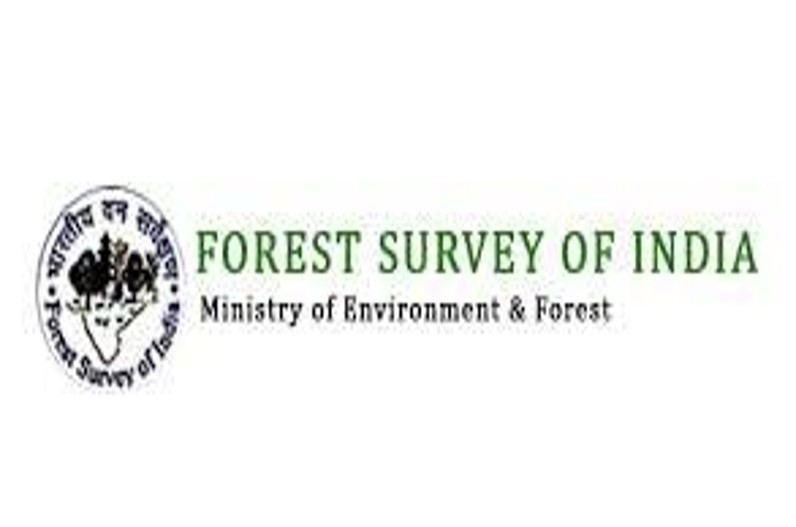 FSI Technical Associate Recruitment 2022 : फॉरेस्ट सर्वे ऑफ इंडिया में नौकरी का सुनहरा मौका, इतने पदों पर निकली बंपर भर्ती… जानें