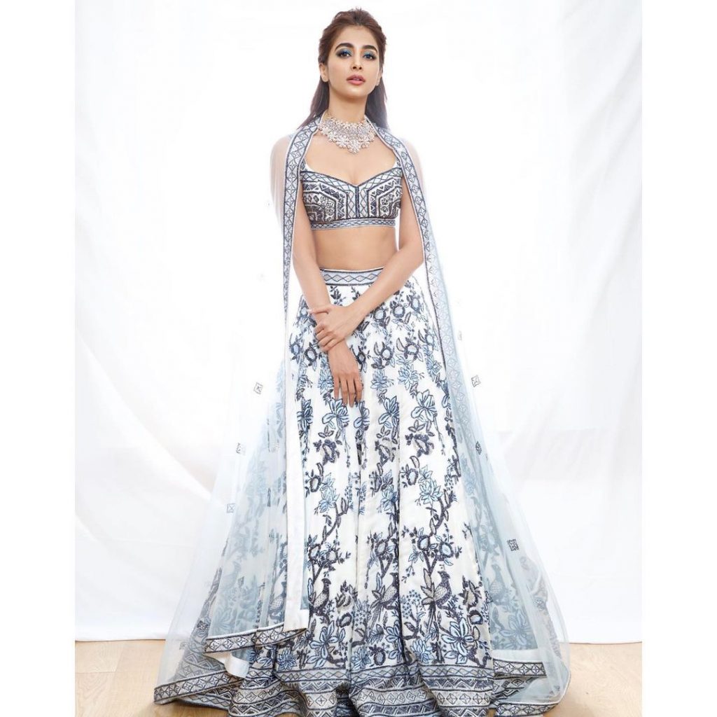 एक्ट्रेस ने अपने करियर की शुरुआत तमिल फिल्मों से की थी। पूजा ने 'मोहेंजो दारो' फिल्म से बॉलीवुड में डेब्यू किया था। फैंस ऋतिक रोशन के साथ उनकी जोड़ी को इस फिल्म में बेहद पसंद भी किये थे।