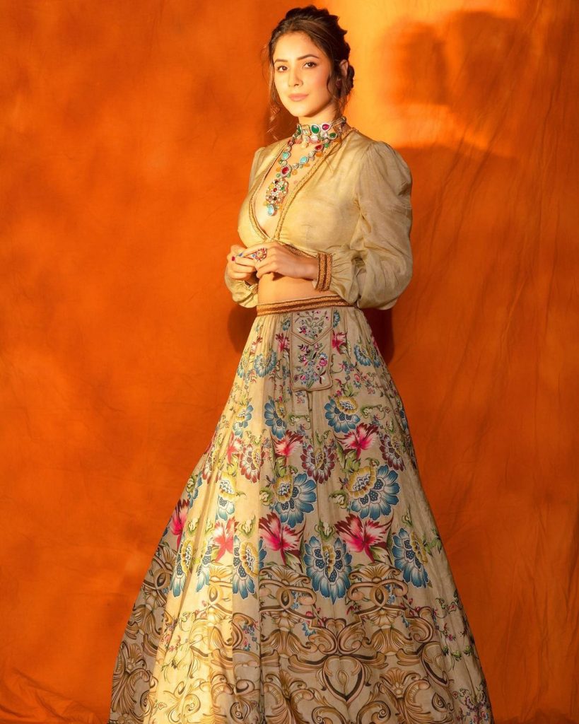 Shehnaaz Gill Photos: सोशल मीडिया क्वीन शहनाज गिल एक बार फिर सुर्खियों में हैं शहनाज ने अपने लेटेस्ट फोटोशूट की तस्वीरें इंटरनेट में शेयर किया है।