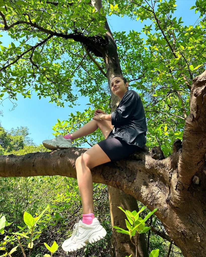 फैंस शहनाज गिल के फोटोज को जमकर लाइक और शेयर भी कर रहे है शहनाज गिल का यह अवतार फैंस को खूब भा रहा है।