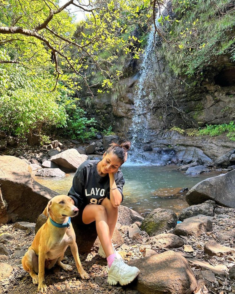 Shehnaaz Gill Photos: सोशल मीडिया क्वीन शहनाज गिल एक बार फिर सुर्खियों में हैं शहनाज ने अपने लेटेस्ट फोटोशूट की तस्वीरें इंटरनेट में शेयर की है