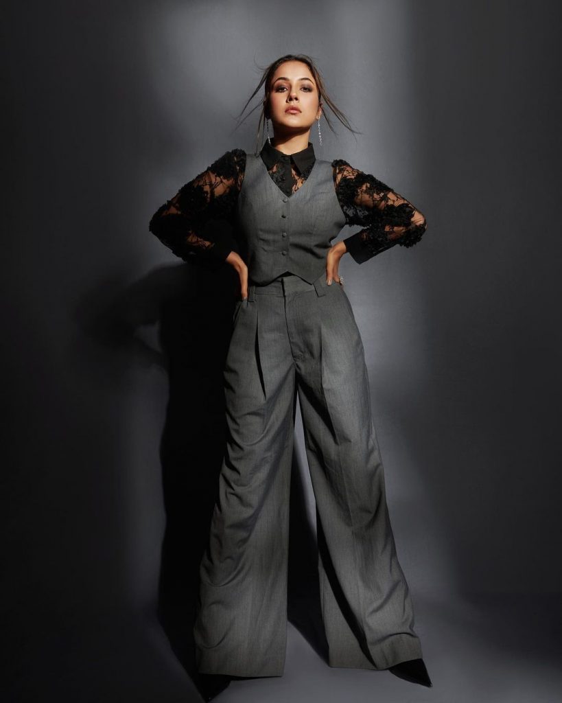 तस्वीरें शेयर करने के बाद से ही शहनाज गिल की नई तस्वीरों ने सोशल मीडिया पर सनसनी मचा रखी है।