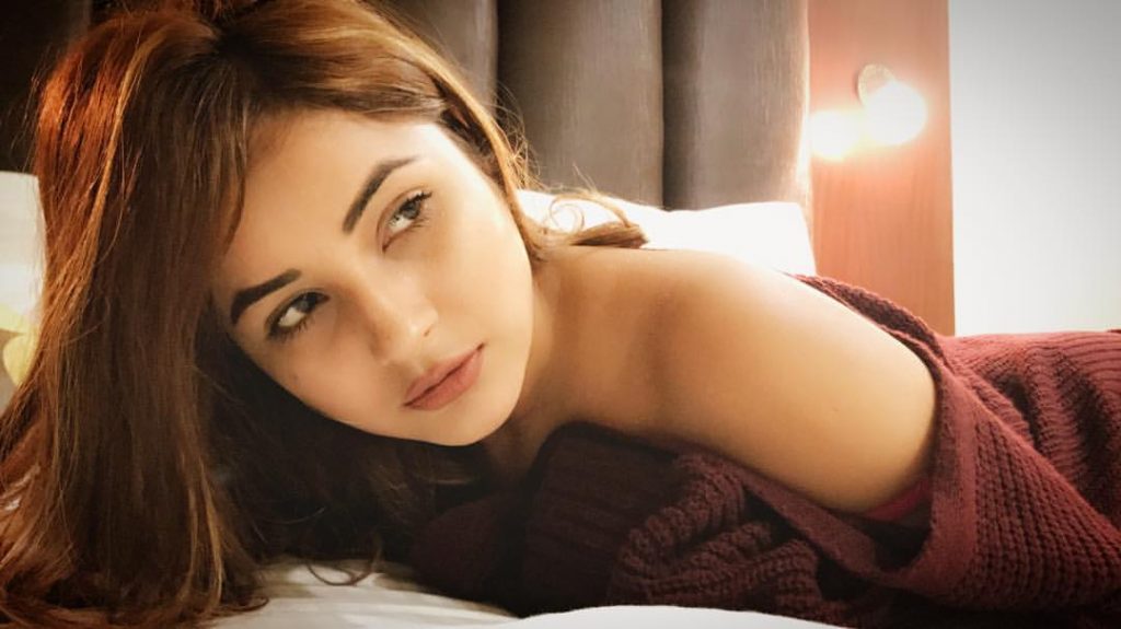 Shehnaaz Gill took such a photo with 'Vicky Kaushal', the fans said - lo kar lo bat asli katrina ka pati nakli ke sath