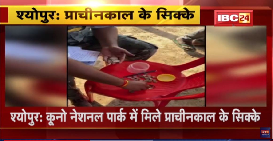 Kuno National Park में मिले प्राचीनकाल के सिक्के | खुदाई के दौरान मिले 42 प्राचीन सिक्के