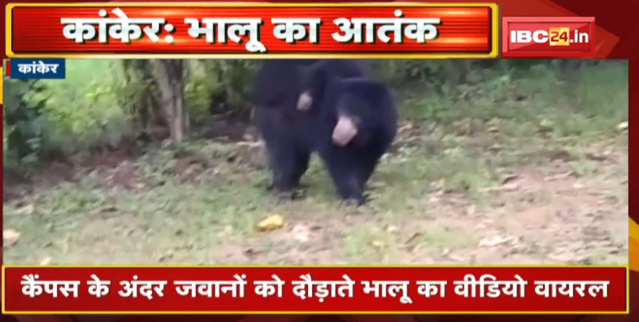 Kanker के Jangalwar College में भालू का आतंक | ट्रेनी जवानों के किचन तक पहुंचा भालू | देखिए VIDEO