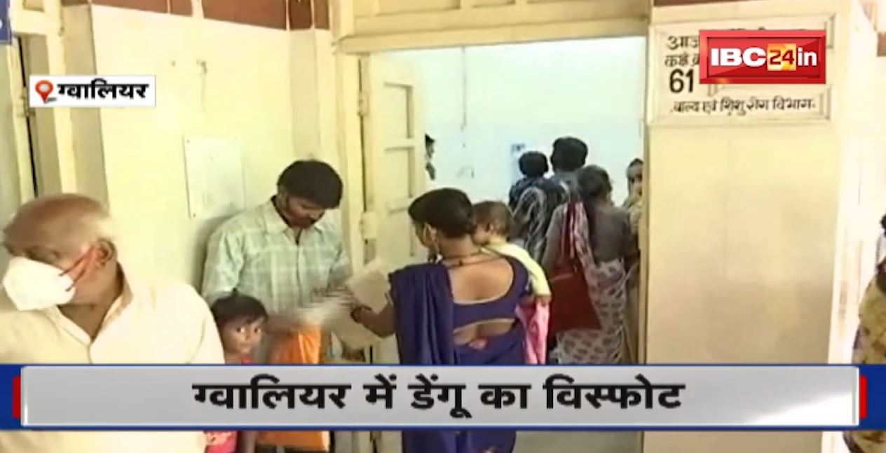 Dengue Outbreak in Gwalior  : ग्वालियर में डेंगू का विस्फोट | बीते 4 दिनों में डेंगू के 74 नए मामले सामने आए