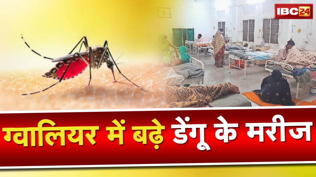 Dengue Outbreak in Gwalior