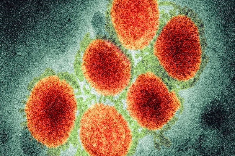 norovirus has knocked in India