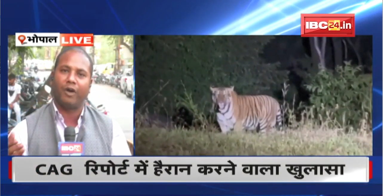 MP के 11 संरक्षित क्षेत्रों से 69 हजार 585 वृक्ष चोरी। CAG की रिपोर्ट में हुआ चौकाने वाला खुलासा