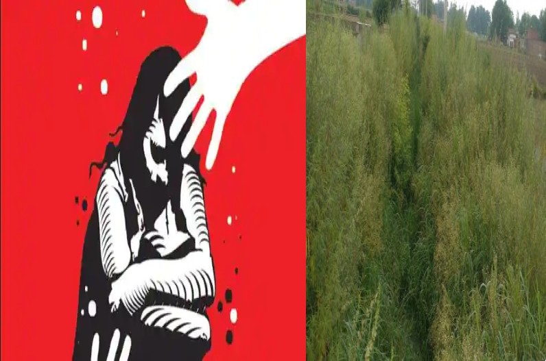 College Girl Rape: कॉलेज की छात्रा से रेप, 1 साल पहले Facebook पर बने थे दोस्त