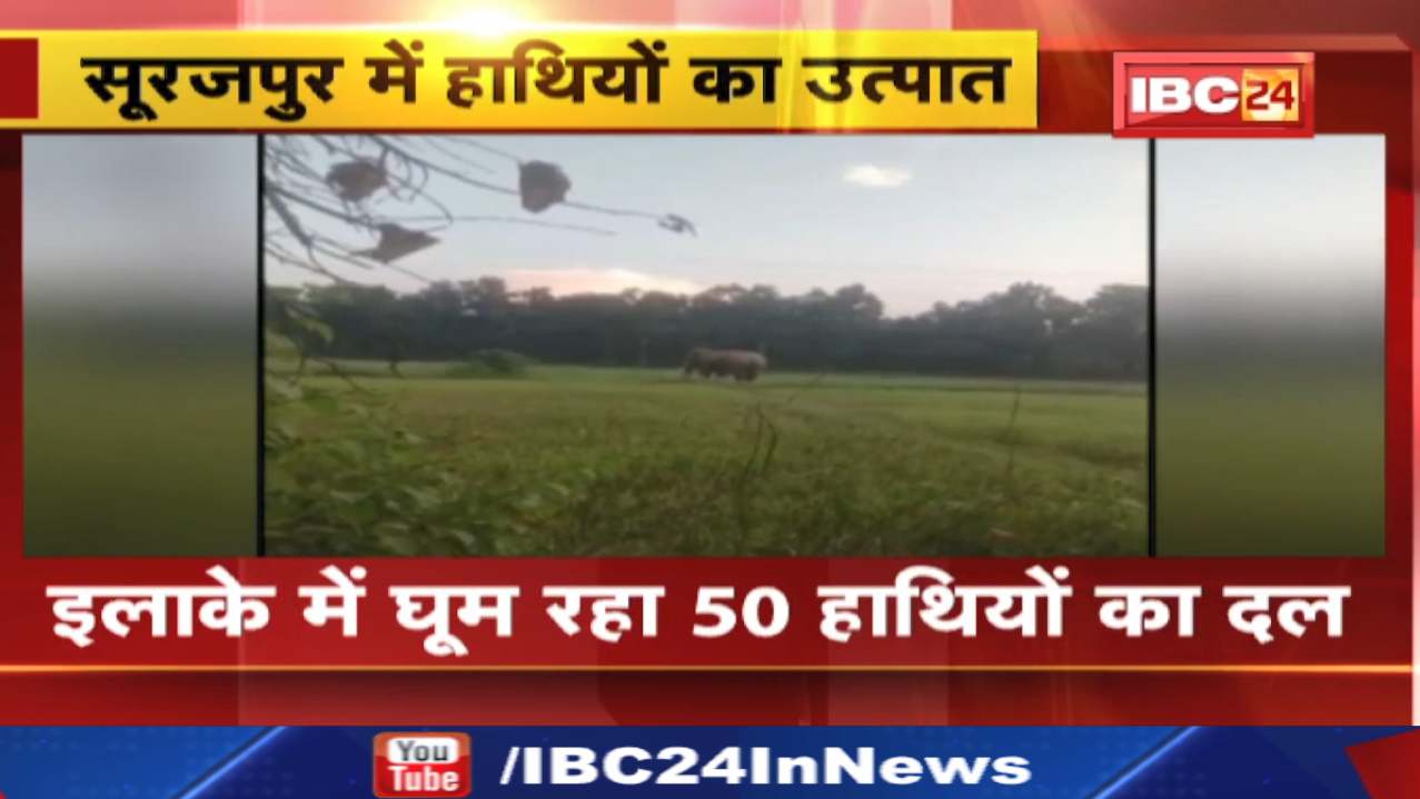 Surajpur Elephant Attack : प्रतापपुर में हाथियों के दल ने 2 पालतू मवेशियों की ली जान…