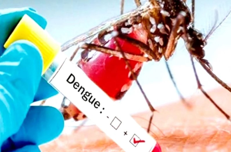 Dengue cases increased in gorakhpur