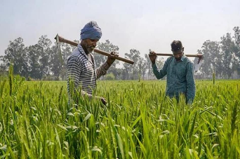 Modi Cabinet Meeting: किसानों के लिए खुशखबरी! कैबिनेट बैठक में MSP में हुई बढ़ोत्तरी, ये 6 फसलें शामिल