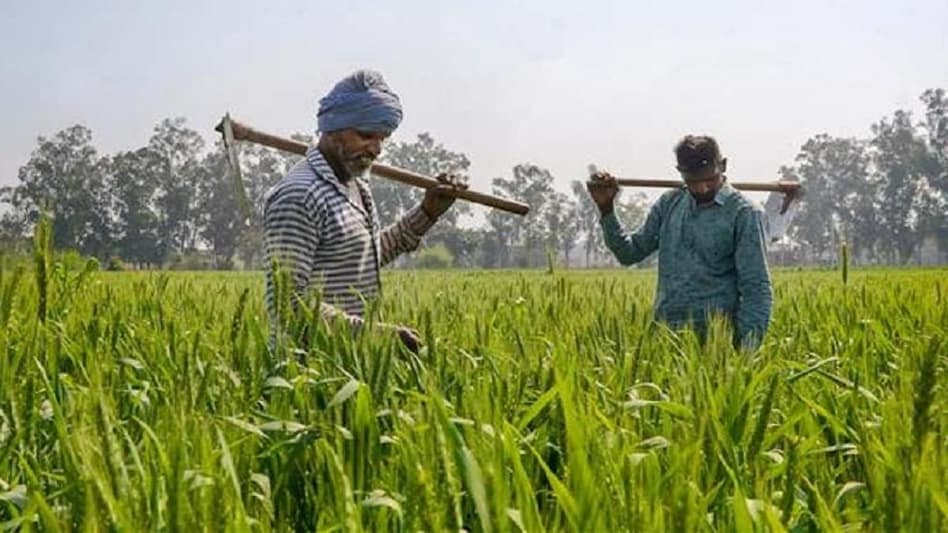 Bihar govt has announced subsidy of up to 90% on seeds