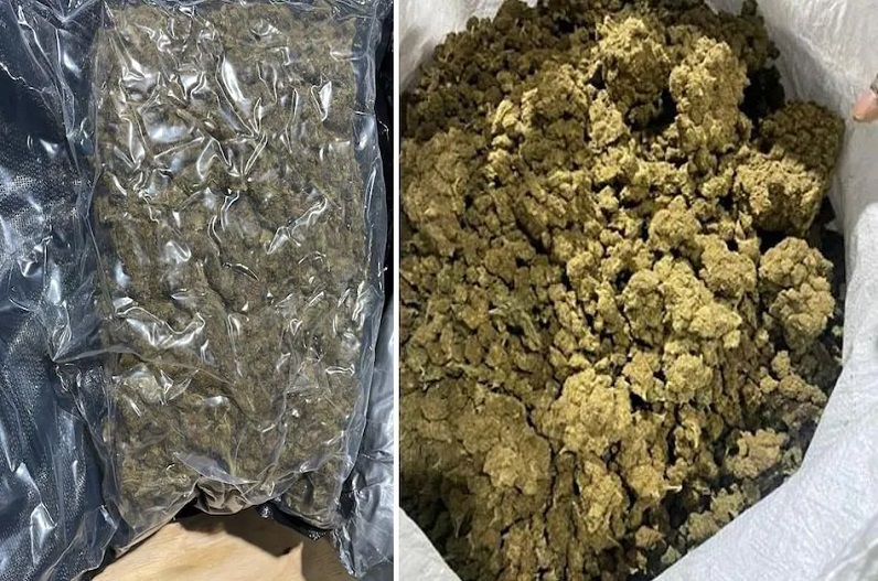 USA से कोरियर में आया 40 करोड़ रुपये का गांजा, देखकर DRI अधिकरियों के उड़े होश, दो गिरफ्तार