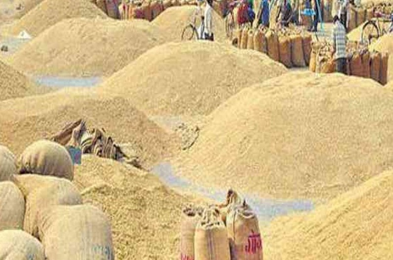 समर्थन मूल्य पर धान खरीदी की तैयारी शुरू, इस दिन शुरु होगी खरीदी…