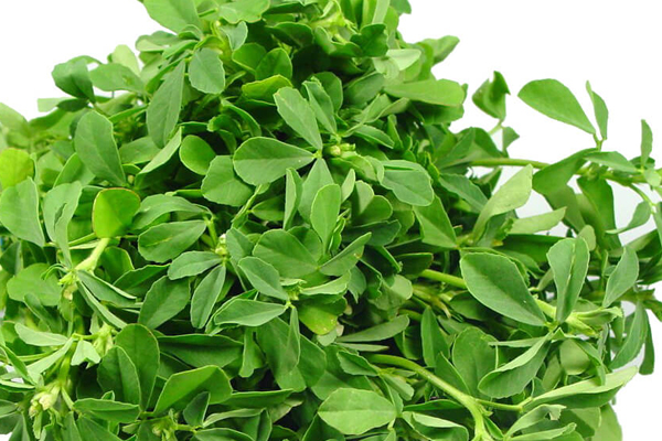 सर्दियों में मेथीयां भी खूब आती है। मैथी में फॉलिक एसिड, कैल्शियम, आयरन, प्रोटीन और जिंक होता है। इसे खाने से वजन भी कम होता है।