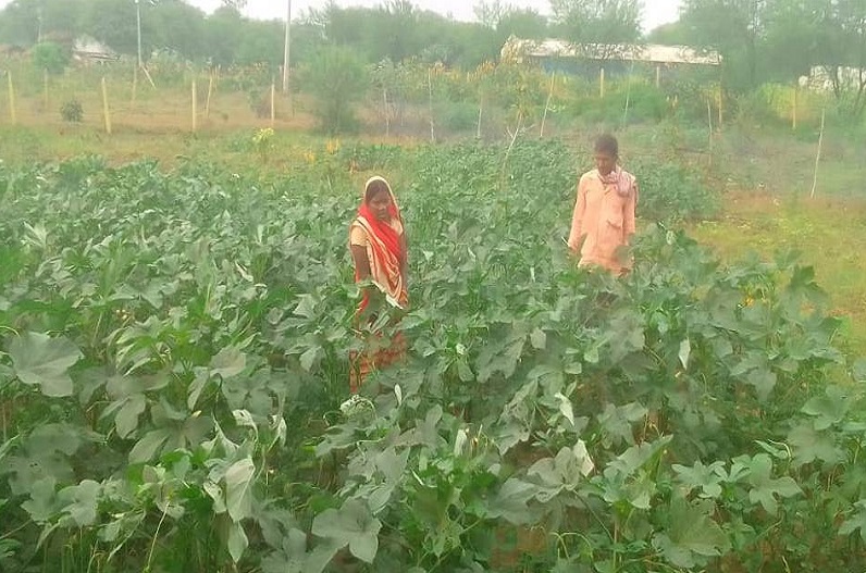 'बाड़ी विकास योजना' से महिलाएं हो रही आत्मनिर्भर, पारिवारिक खर्चों में निभा रही भागीदारी...