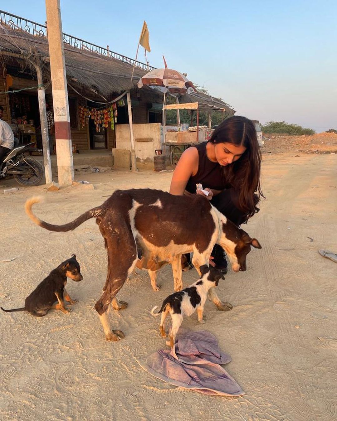 हाल ही में एक्ट्रेस तारा सुतारिया एक विलन रिटर्न में नजर आई थीं। जिसमें उनके 'शामत' गाने को दर्शकों द्वारा खूब सारा प्यार मिला था। एक्ट्रेस सोशल मीडिया सेंसेशन हैं। और हर बार अपने क्लासी लुक्स से फैंस को अपना कायल कर देती हैं।