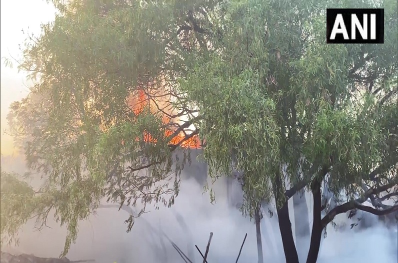 India news today in hindi 17 November : APMC फल बाजार में लगी आग, फायर टेंडर मौके पर मौजूद