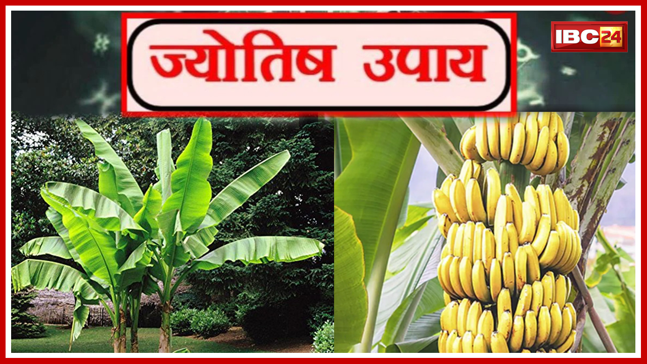 केला का ज्योतिष कनेक्शन.. महाफलदायी है देवगुरु बृहस्पति की पूजा | Sitare Hamare