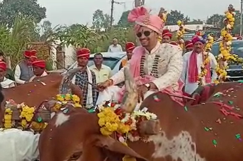 अपनी बारात में बैलगाड़ी से ससुराल पहुंचा दूल्हा, कन्या पक्ष के लिए DJ में बजवाया ये Song… वीडियो हुआ Viral
