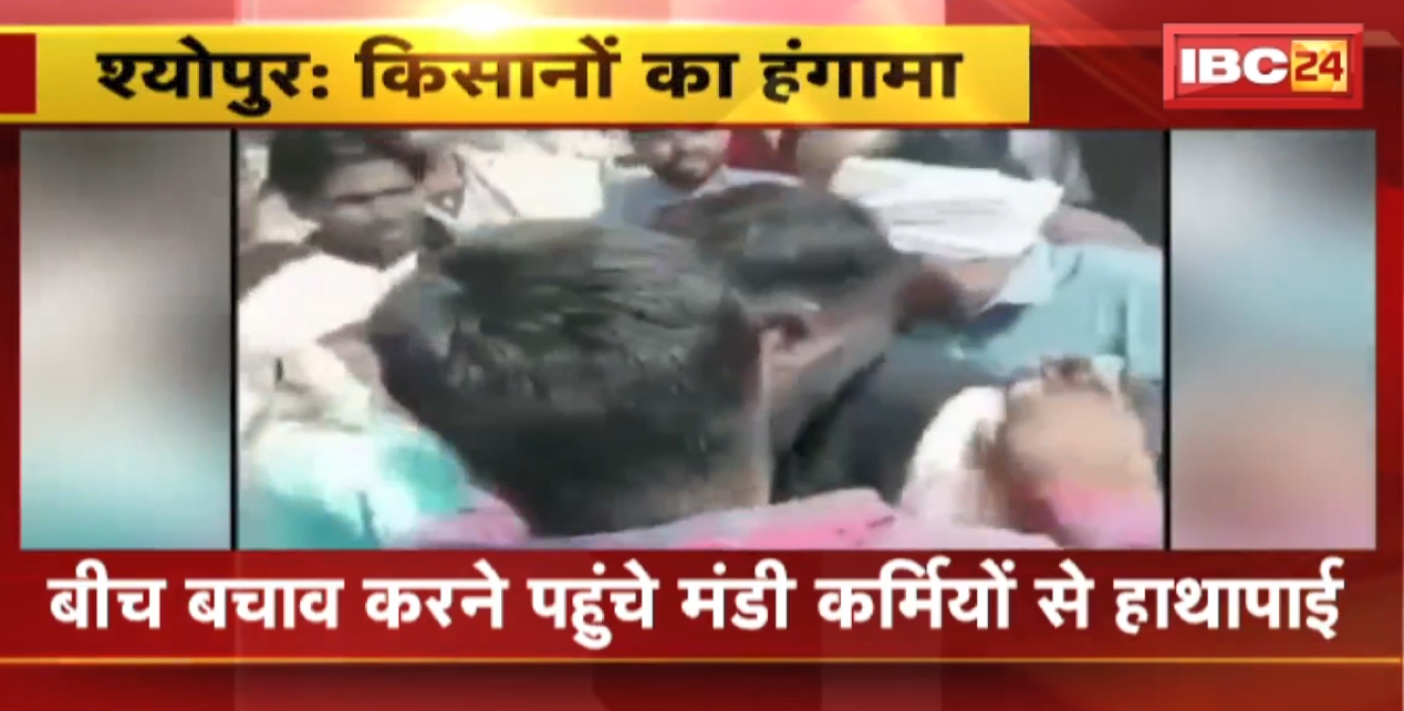 Sheopur के अनाज मंडी में किसानों का हंगामा। बीच बचाव करने पहुंचे मंडी कर्मियों से हाथापाई