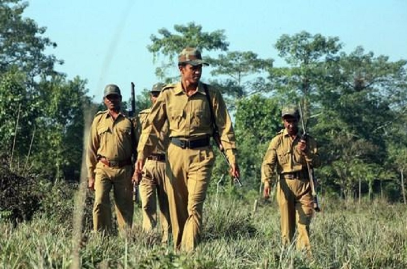 Sarkari Naukri: राज्य के वन विभाग में निकली बंपर वेकैंसी, 12वीं पास कर सकते हैं अप्लाई, यहां जानें आवेदन प्रक्रिया