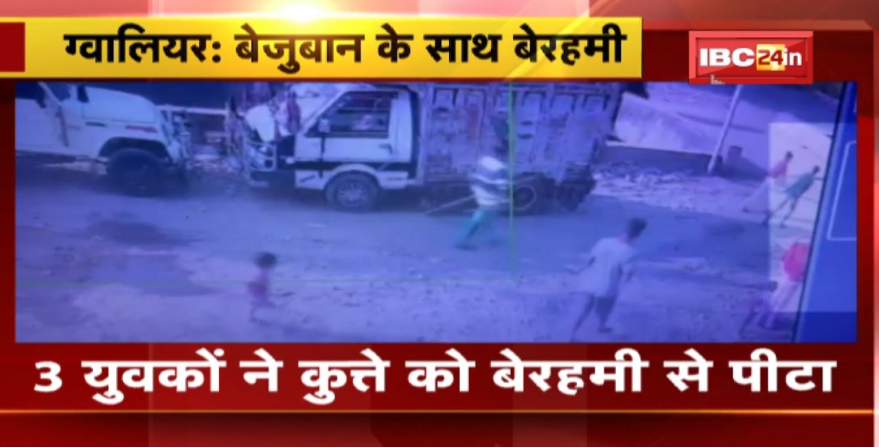 Gwalior Crime News : 3 युवकों ने कुत्ते को बेरहमी से पीटा। लाठी-डंडों से पीटकर कुत्ते की ली जान