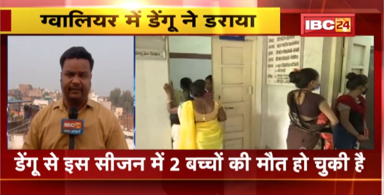 Gwalior Dengue News : ग्वालियर में डेंगू ने डराया। डेंगू मरीजों का आंकड़ा 300 के पार