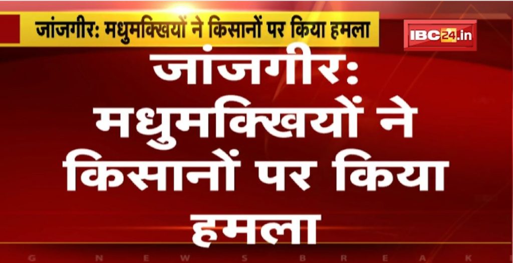 Honey Bees Attack in Janjgir