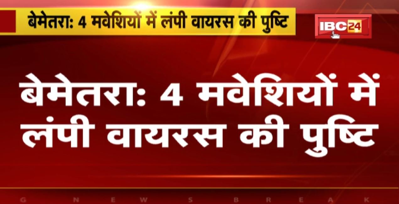 Lumpy Virus in Bemetara: 4 मवेशियों में लंपी वायरस की पुष्टि | एक की मौत