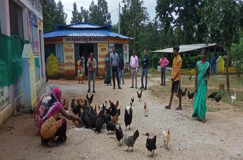 desi poultry farm business plan