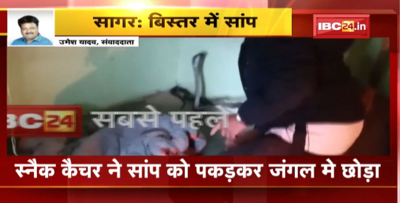 Sagar Snake News : बिस्तर में निकला जहरीला सांप। रातभर बिस्तर में रहने के बाद भी सांप ने नहीं काटा