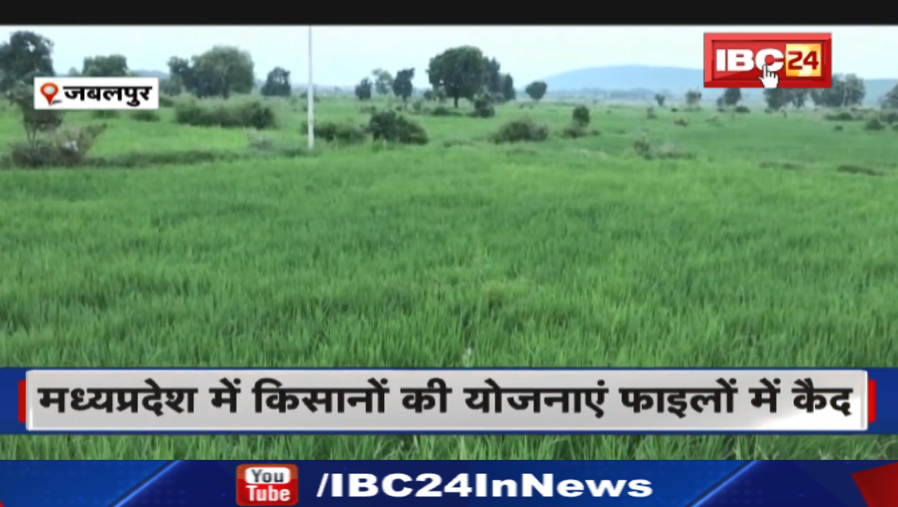 Madhya Pradesh में किसानों की योजनाएं फाइलों में कैद| अधिकारियों की लापरवाही की भेंट चढ़ रही योजनाएं
