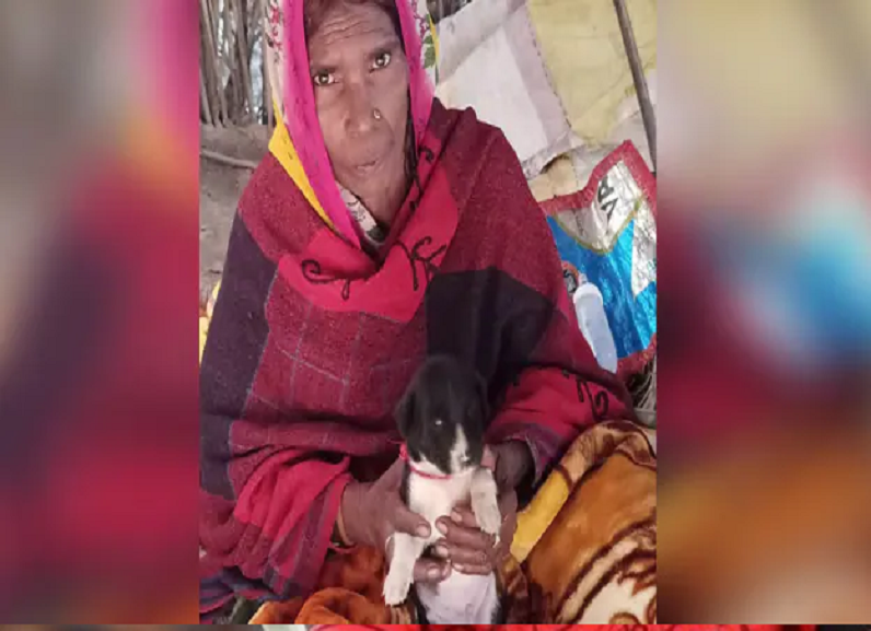 Woman gave birth to puppy,