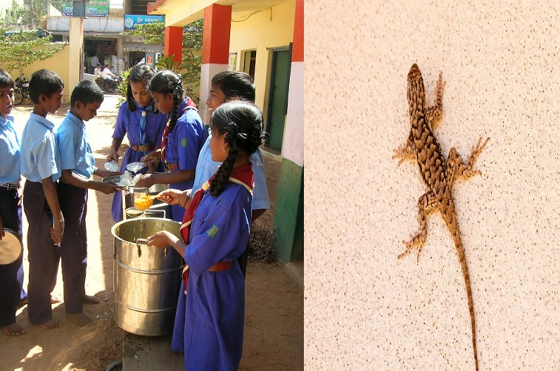 शिक्षक की लापरवाही की वजह से 200 छात्र हुए बीमार, पीट-पीटकर खिलाया छिपकली वाला खाना, बच्चों की हालत नाजुक