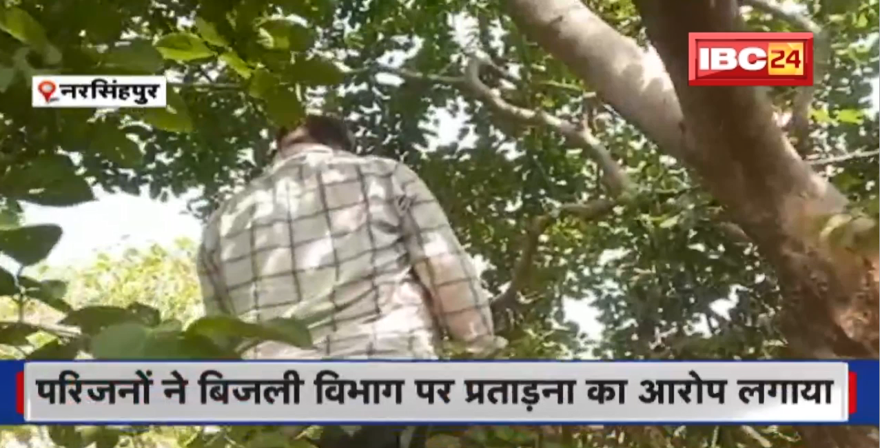 Narsinghpur News: पेड़ से लटकी मिली लाश | परिजनों ने बिजली विभाग पर लगाया प्रताड़ना का आरोप