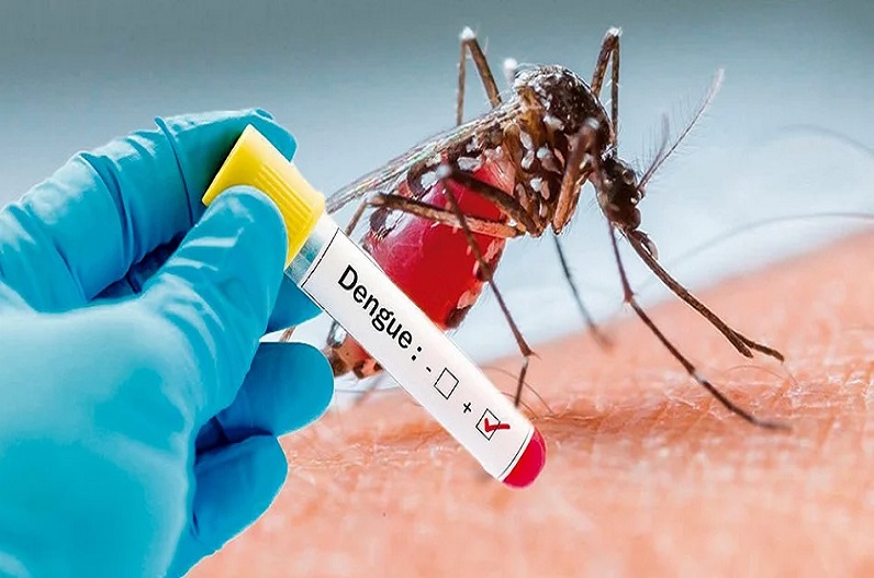 Increase in cases of dengue patients in Bihar
