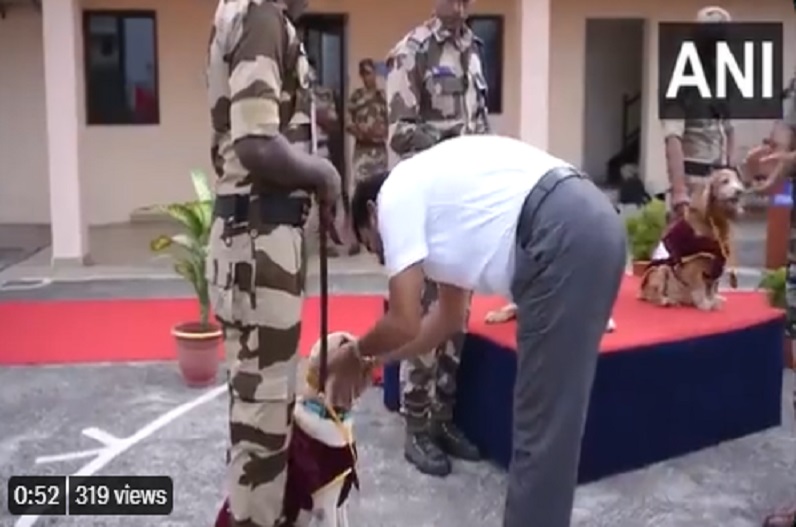 India news today in hindi 03 November: करीब 10 साल की मेधावी सेवा के बाद दो कुत्तों को CISF के जवानों ने दी विदाई